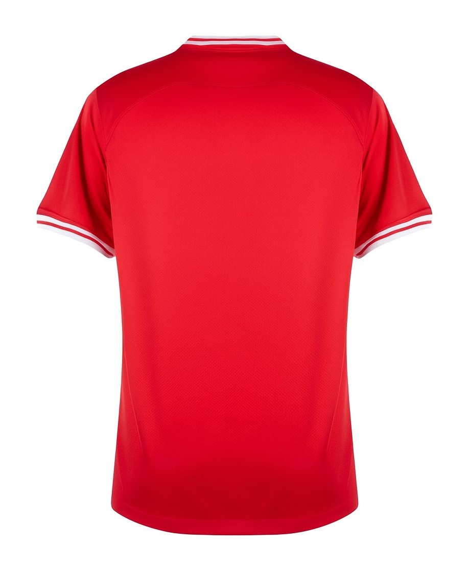 Poland 2022 Away Kit