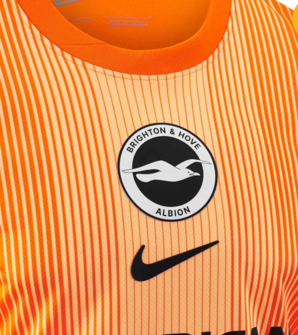 Brighton & Hove Albion 2025-26 GK 1 Kit