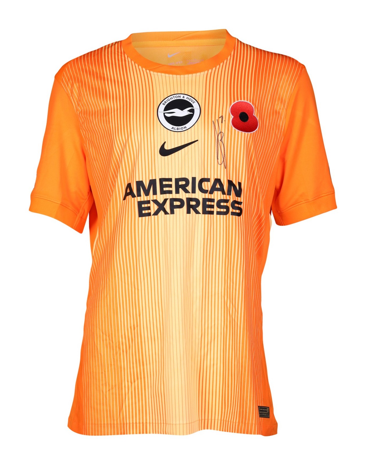 Brighton & Hove Albion 2025-26 GK 1 V2 Kit