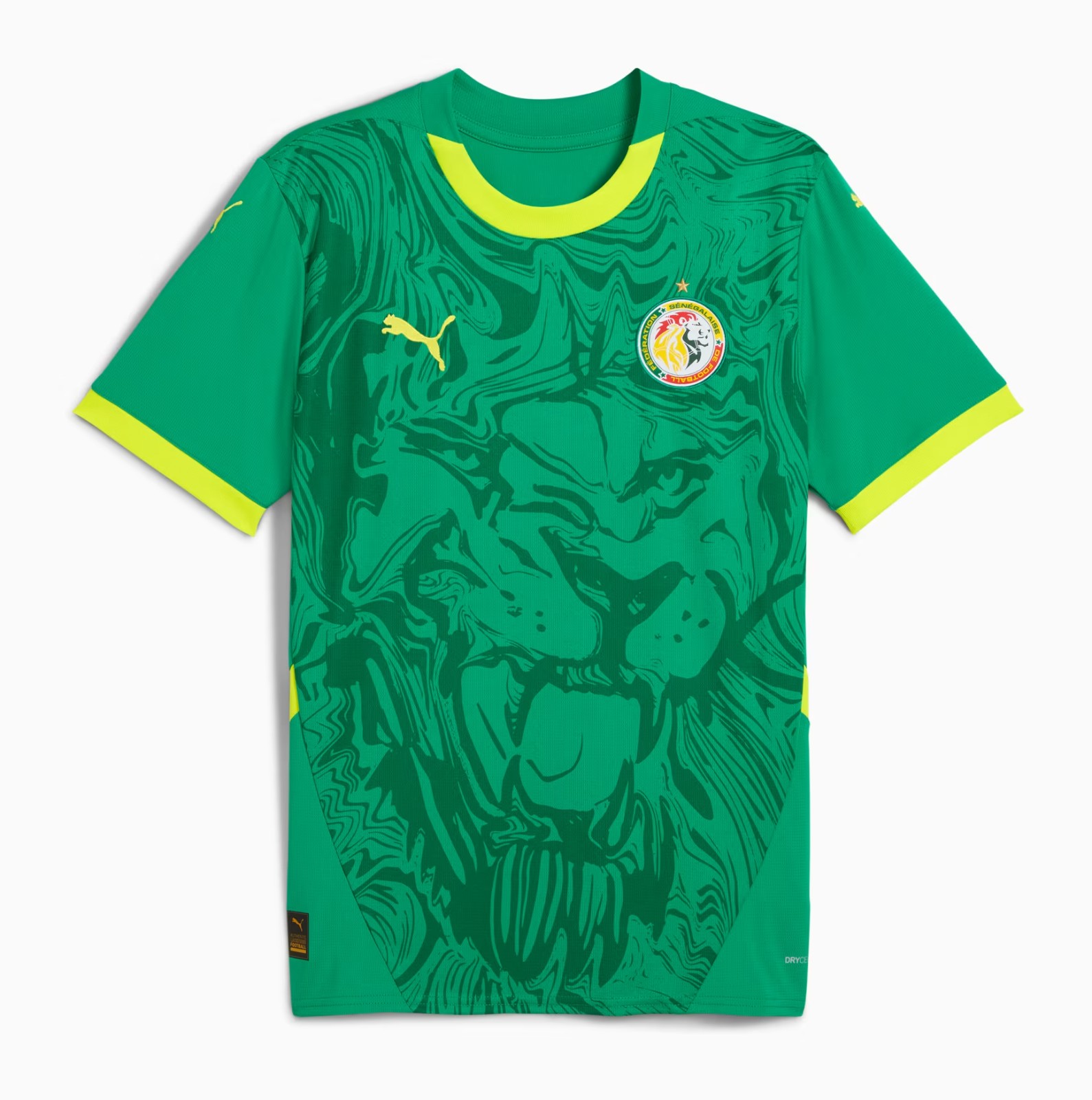 Senegal 2024-25 Away Kit