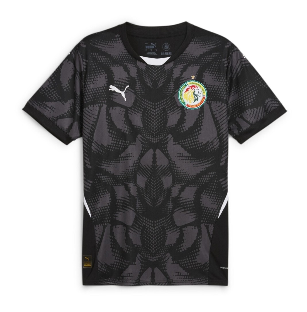 Senegal 2024-25 GK 2 Kit