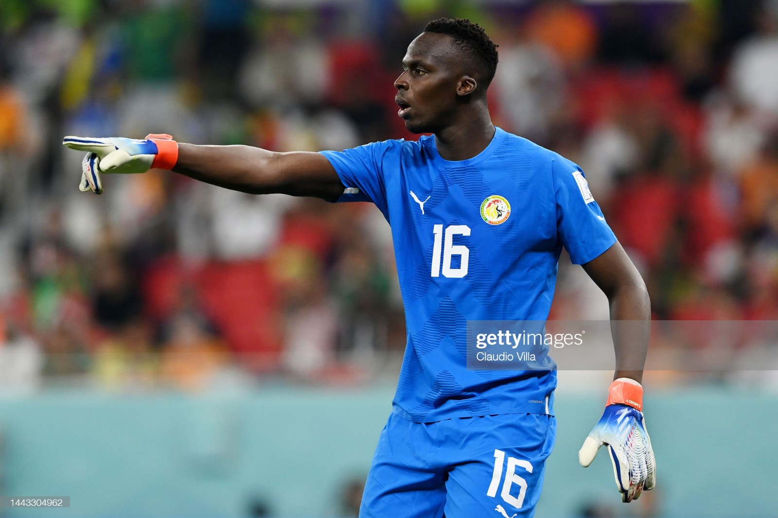 Senegal 2022 GK 2 Kit