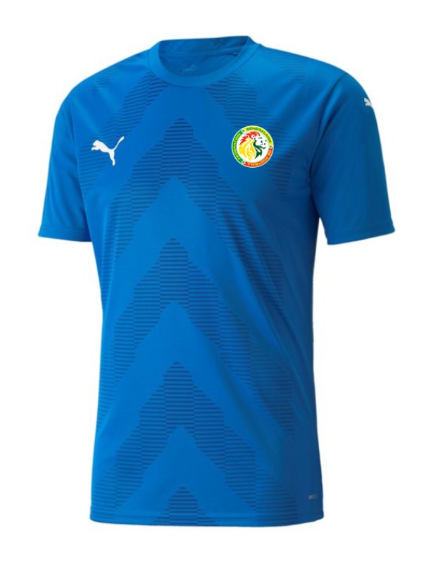 Senegal 2022 GK 2 Kit
