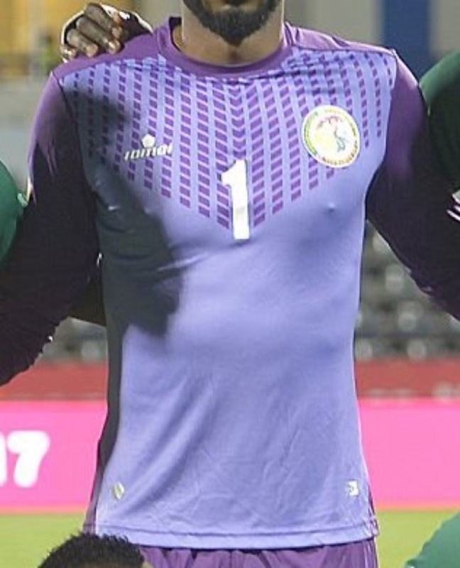 Senegal 2017 GK 2 Kit