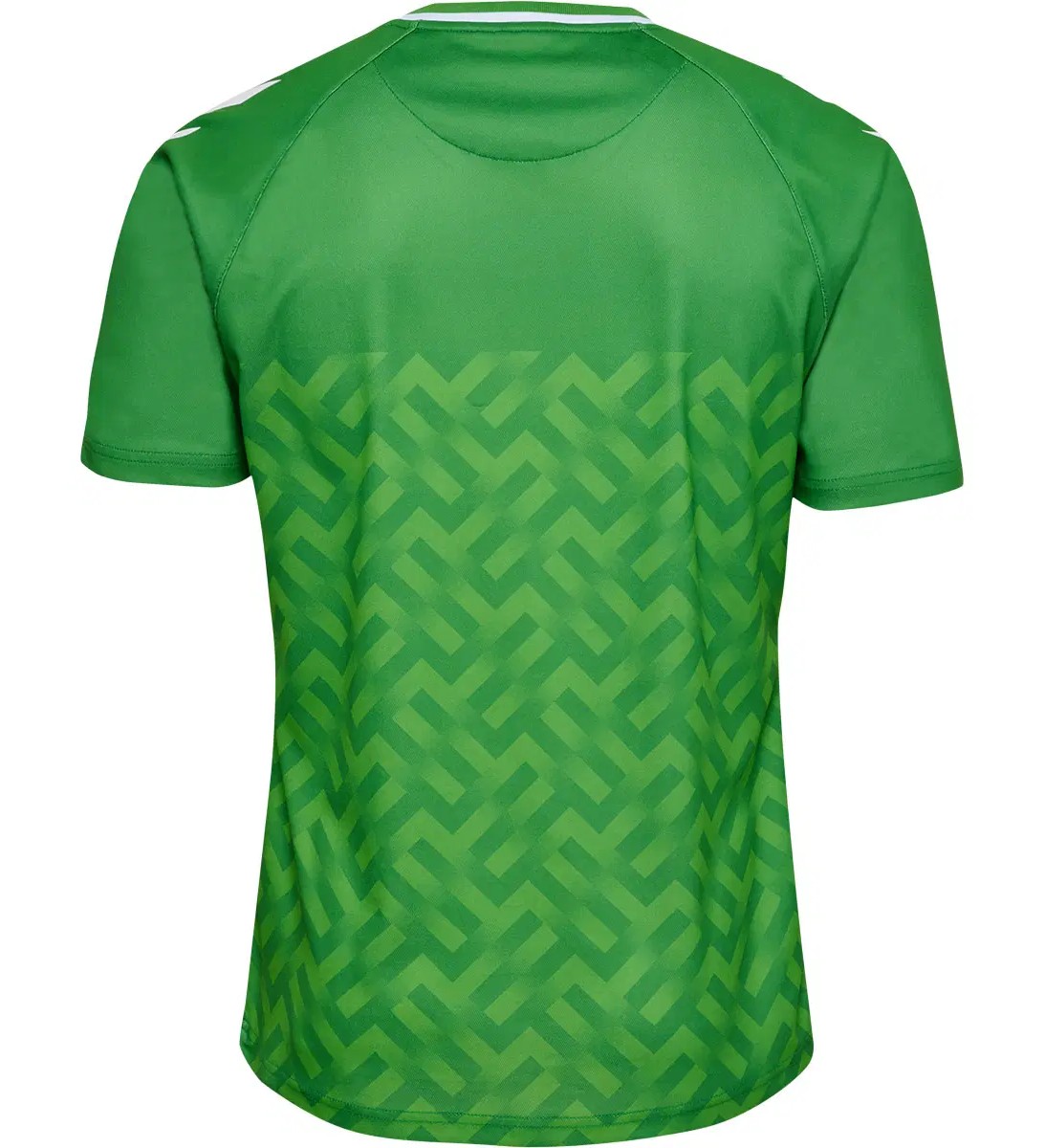 Denmark 2023 GK 2 Kit