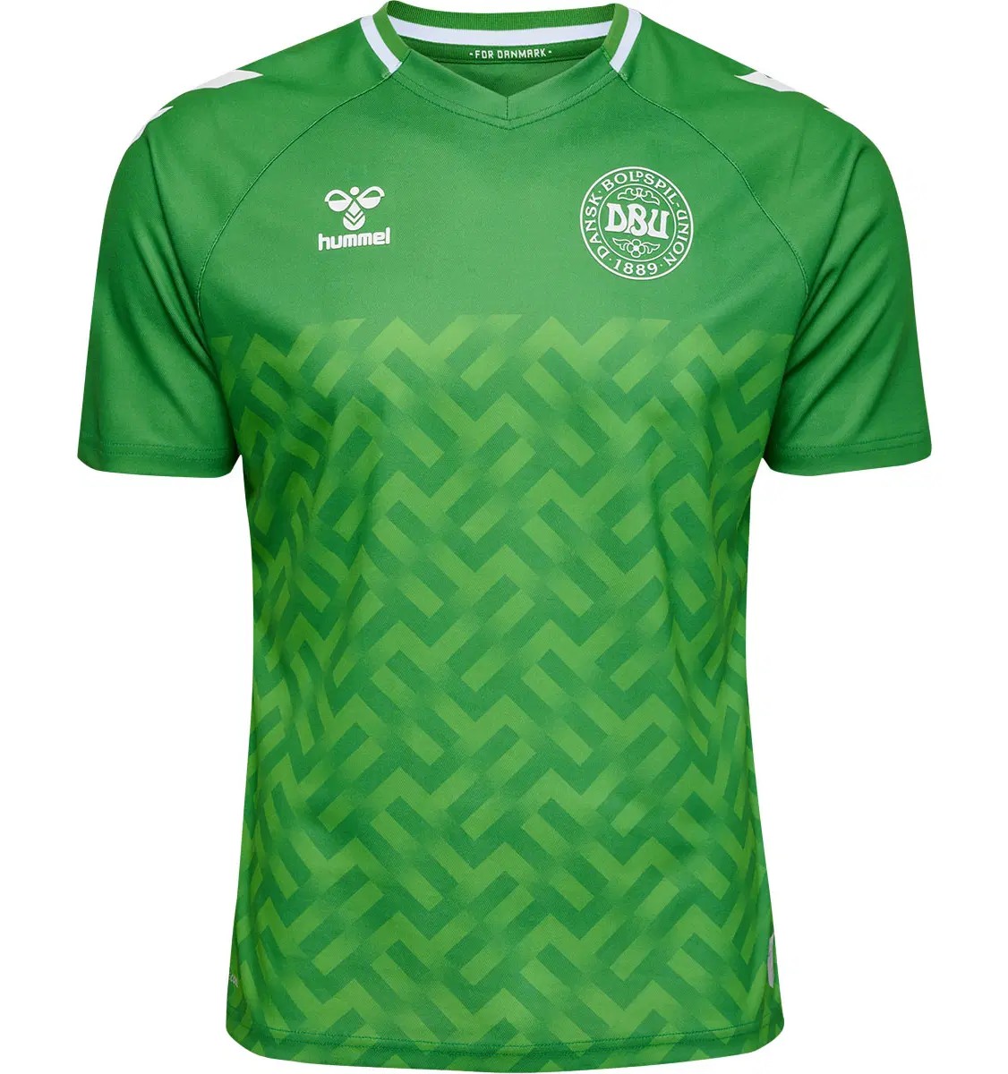 Denmark 2023 GK 2 Kit