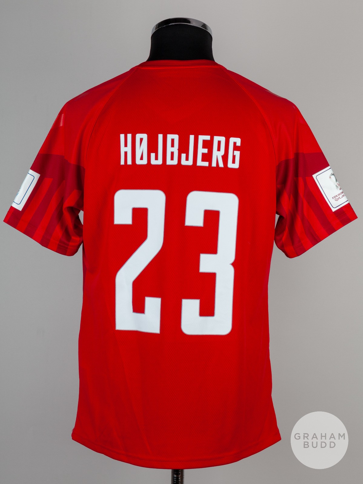 Denmark 2022 Home Kit