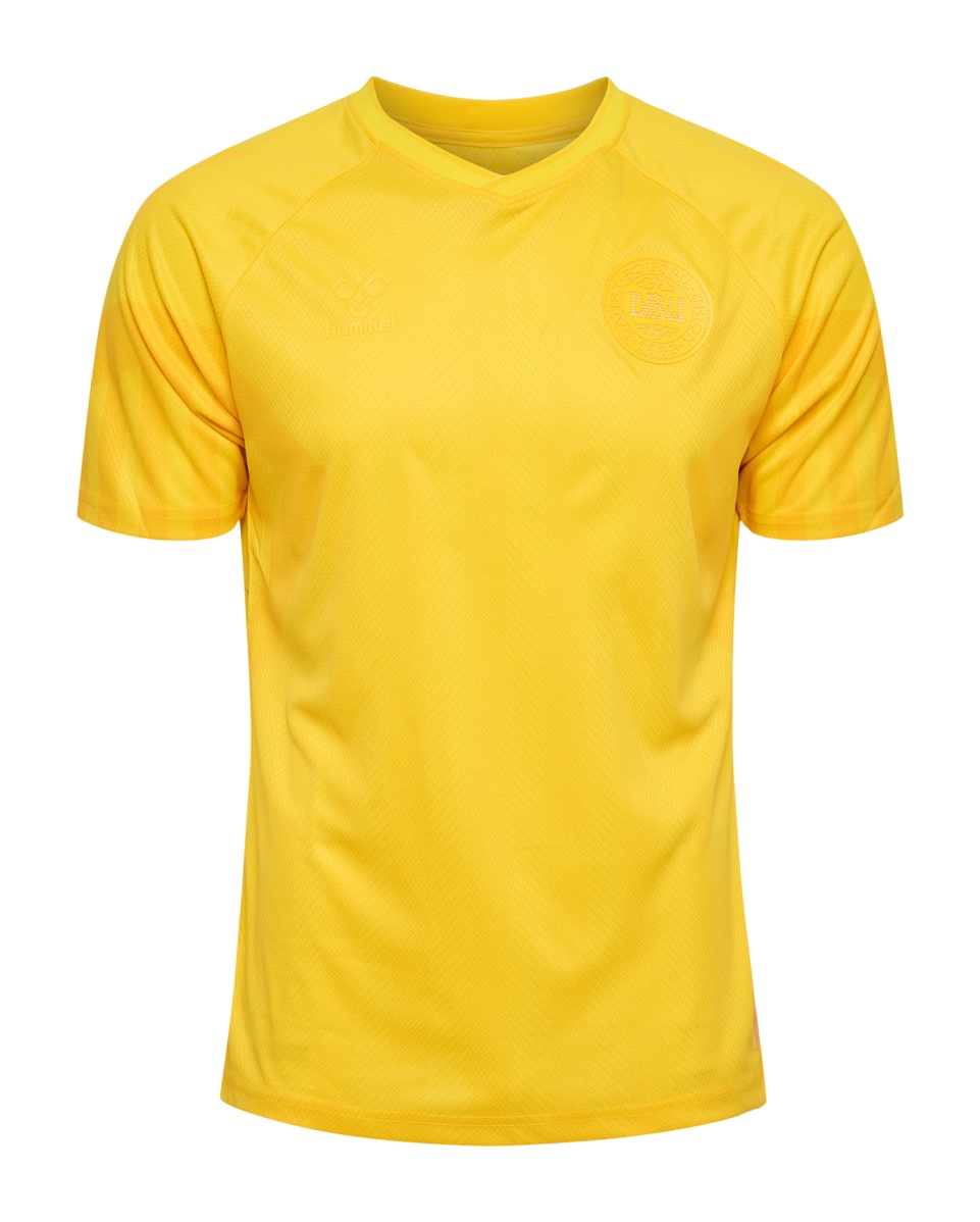 Denmark 2022 GK 2 Kit