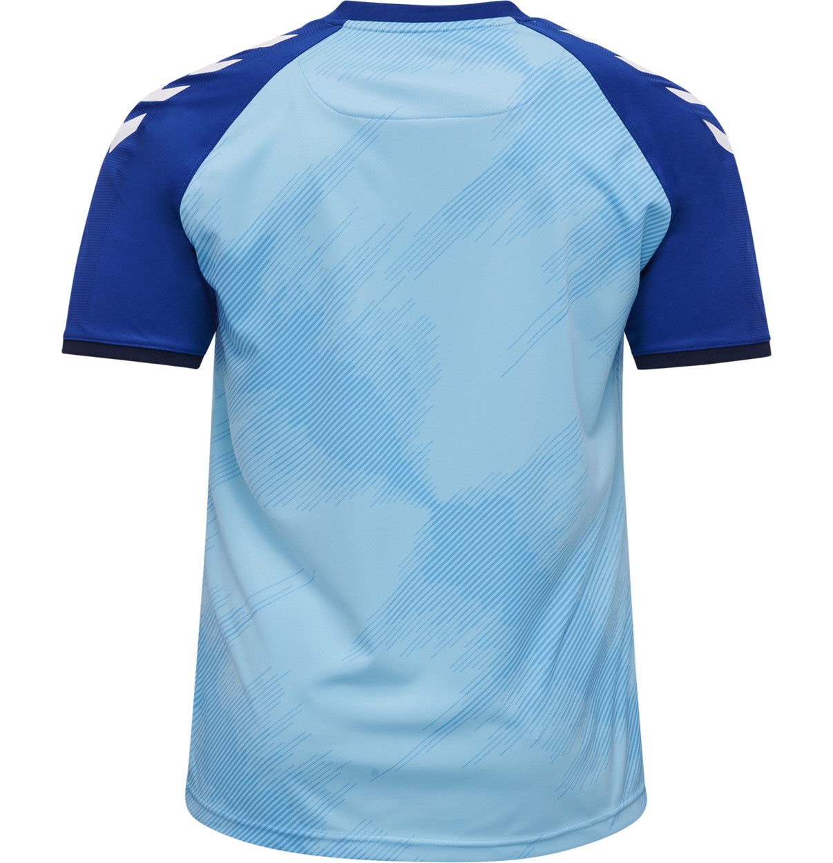 Denmark 2020 GK 2 Kit