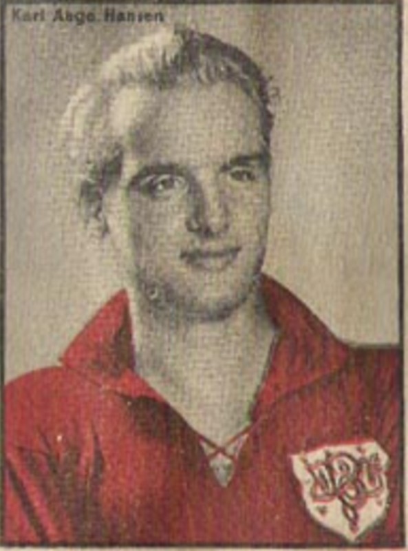 Denmark 1943 Home Kit