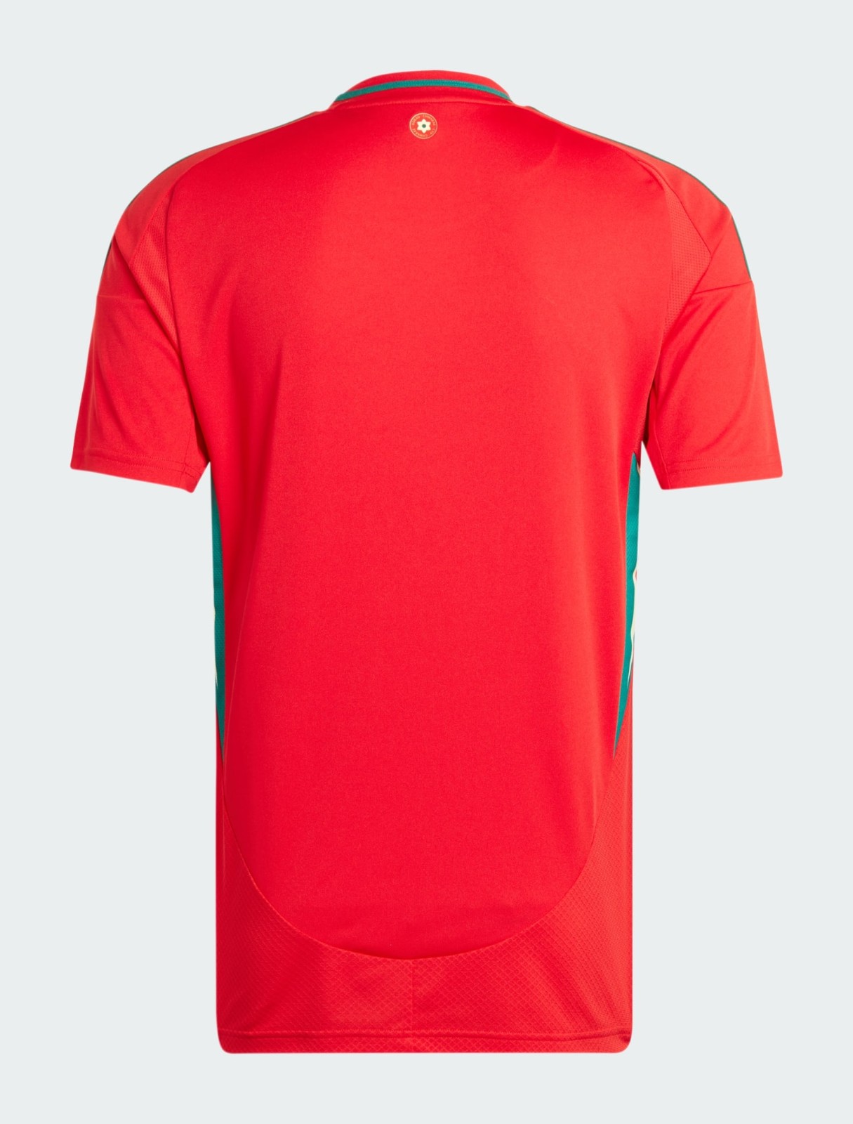 Wales 2024 Home Kit