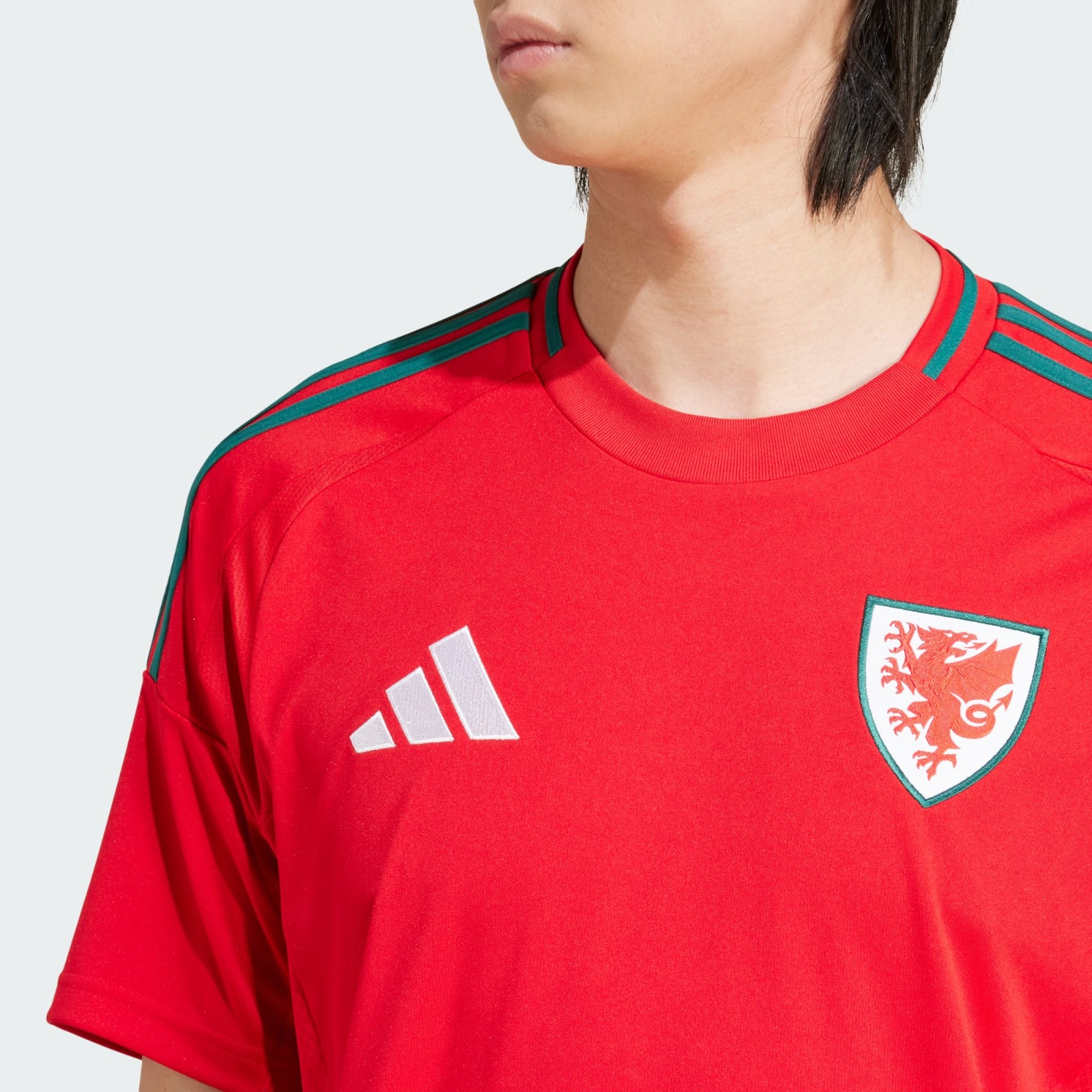 Wales 2024 Home Kit