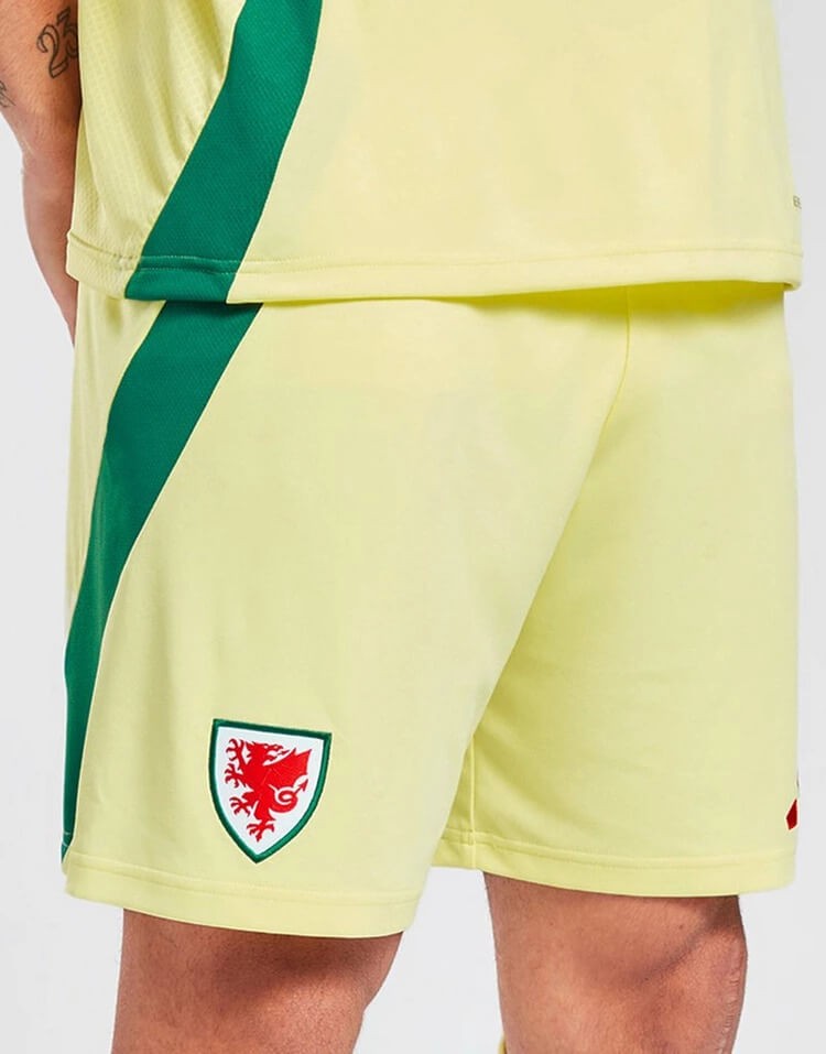 Wales 2024 Away Kit