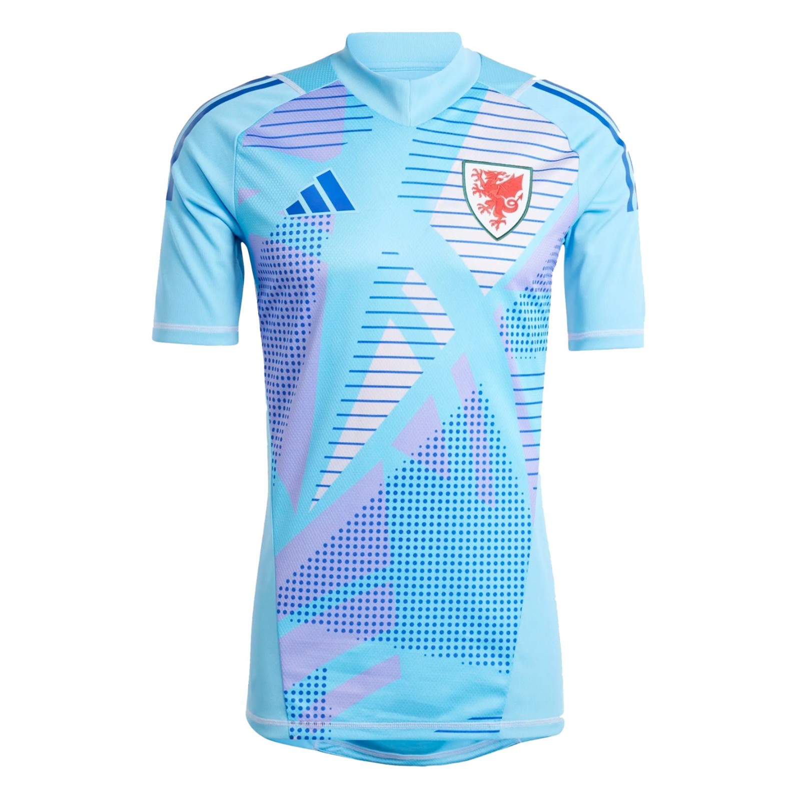 Wales 2024 GK 2 Kit