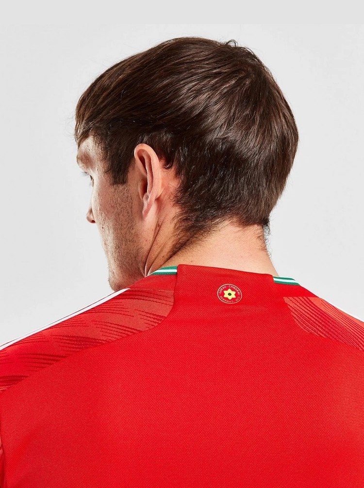 Wales 2022 Home Kit