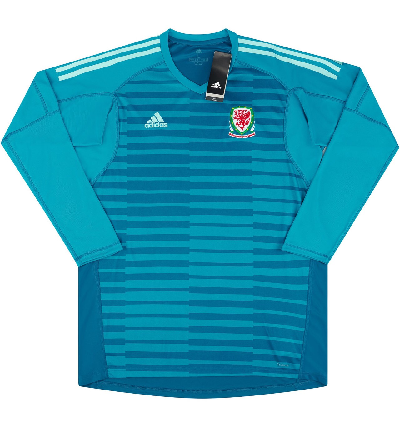 Wales 2018 GK 1 Kit