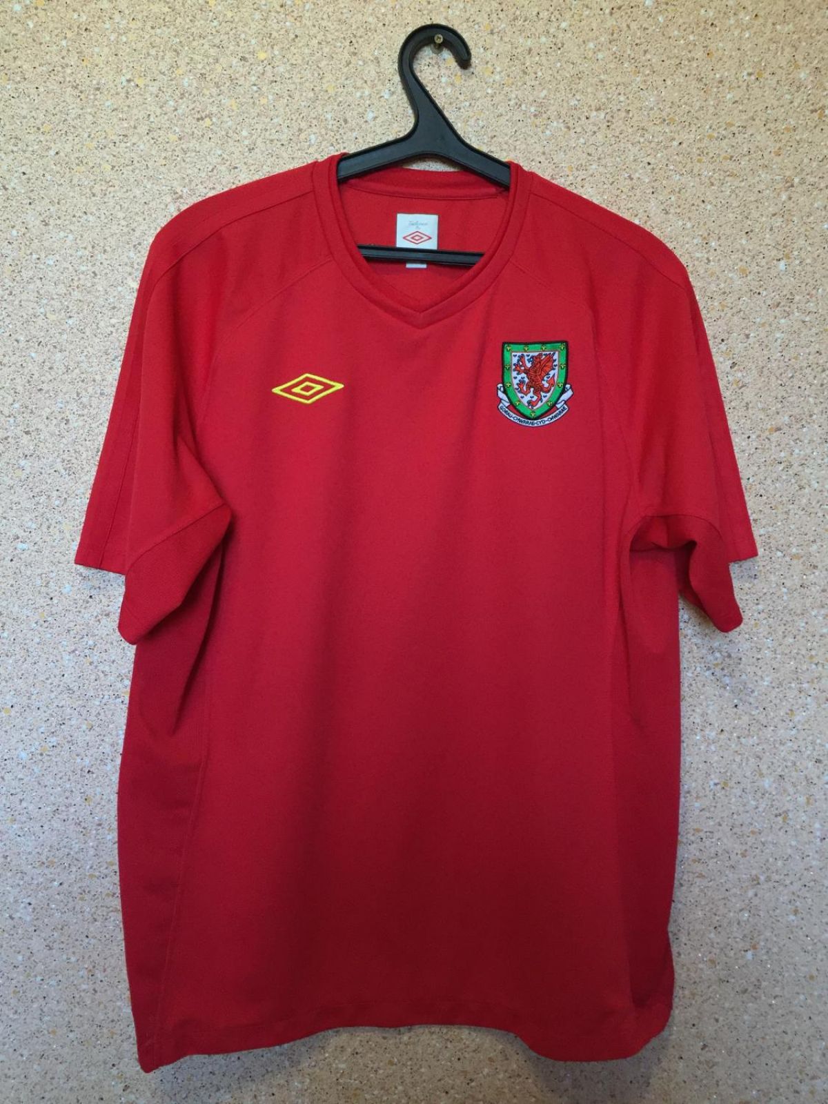 Wales 2010 Home Kit