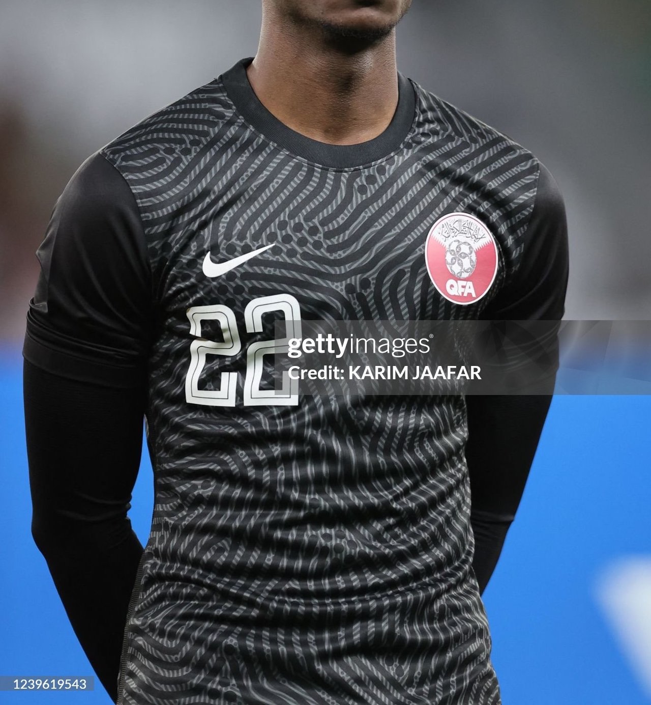 Qatar 2020 GK 2 Kit