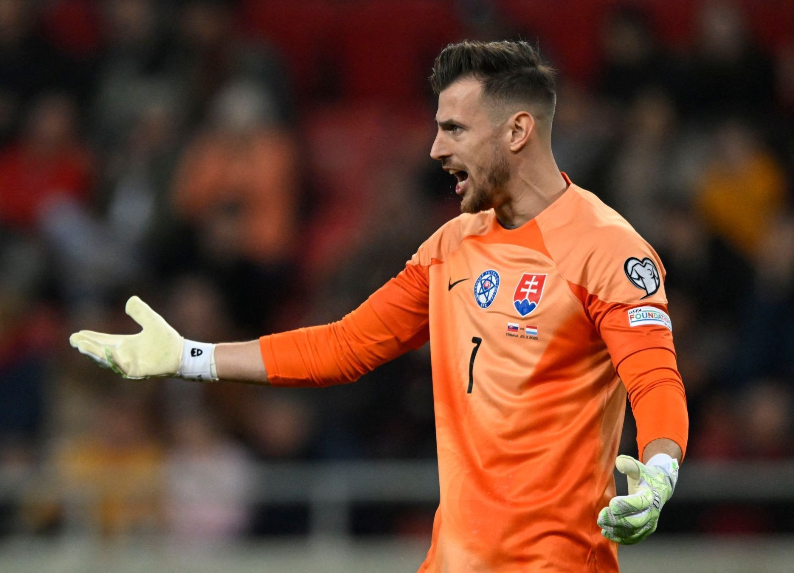 Slovakia 2022 GK 2 Kit