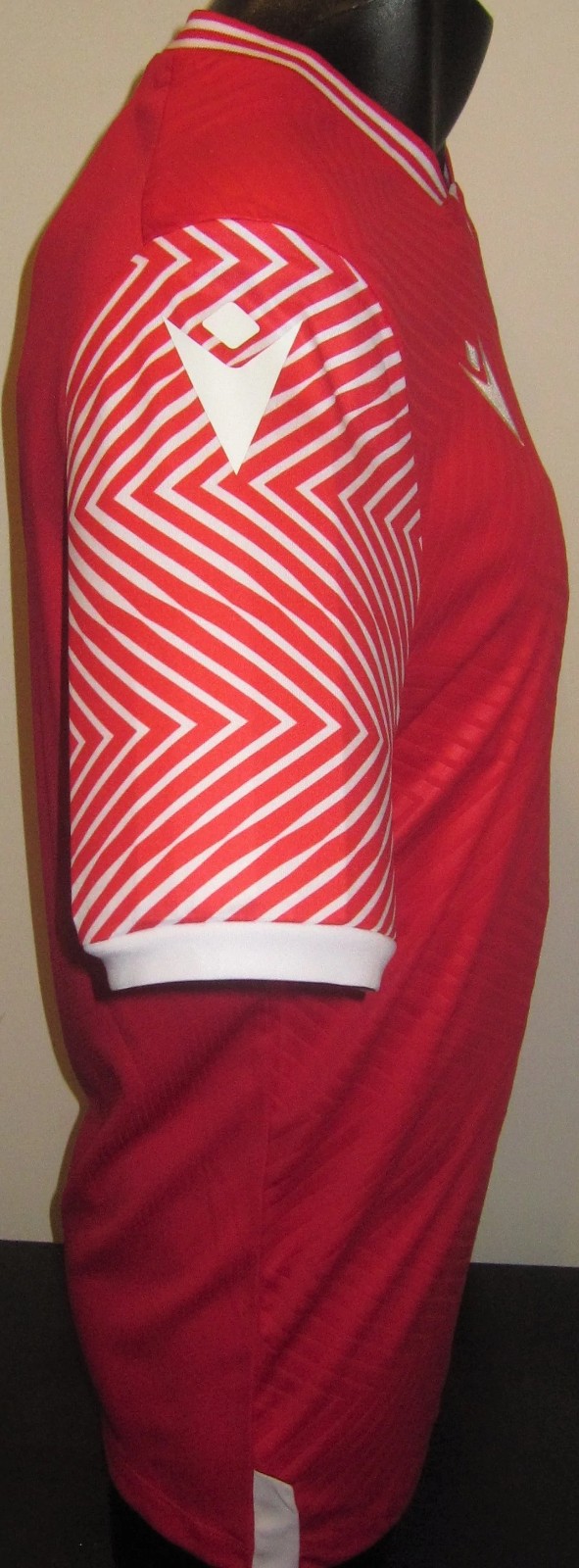 Georgia 2021 Home Kit