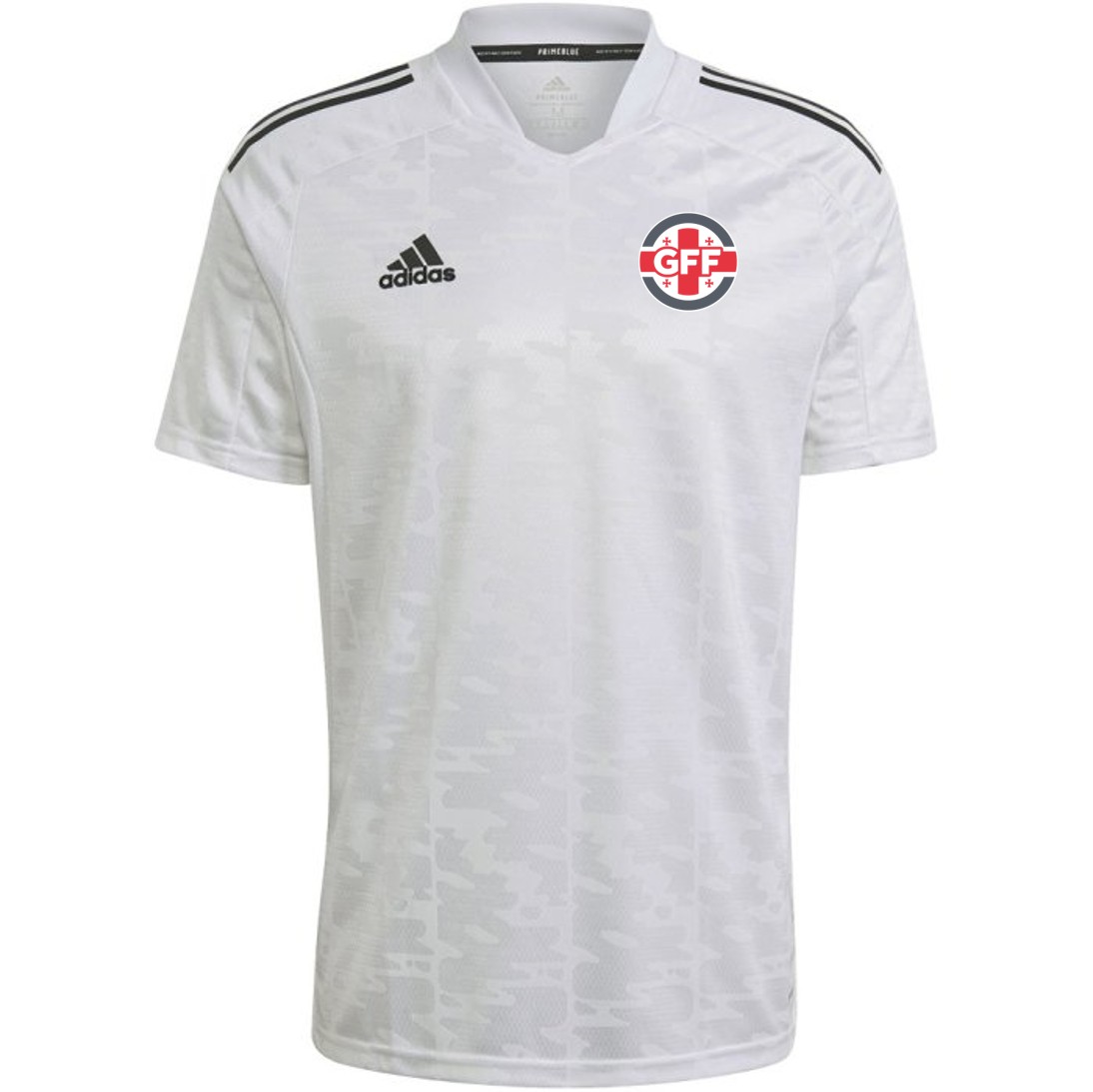 Georgia 2020 Home Kit