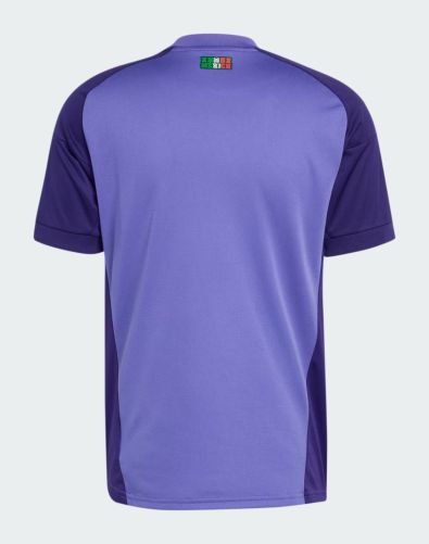Mexico 2026 GK 2 Kit