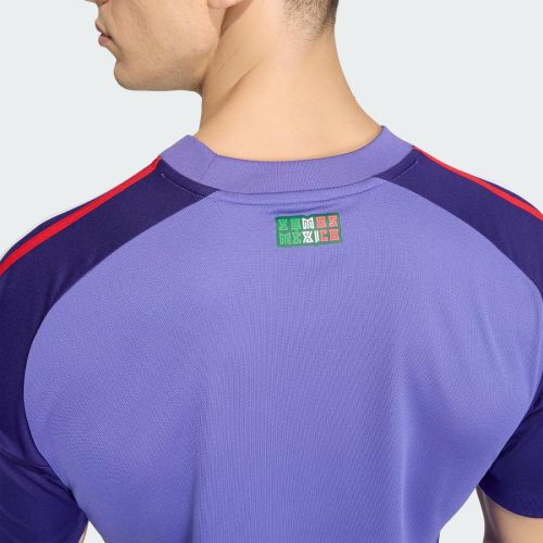 Mexico 2026 GK 2 Kit