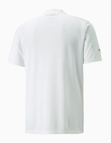 Serbia 2022 Away Kit