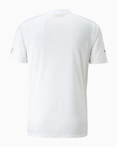 Serbia 2022 Away Kit