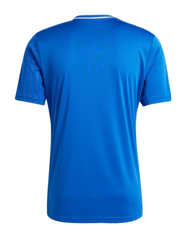 AVS Futebol SAD 2025-26 Third Kit