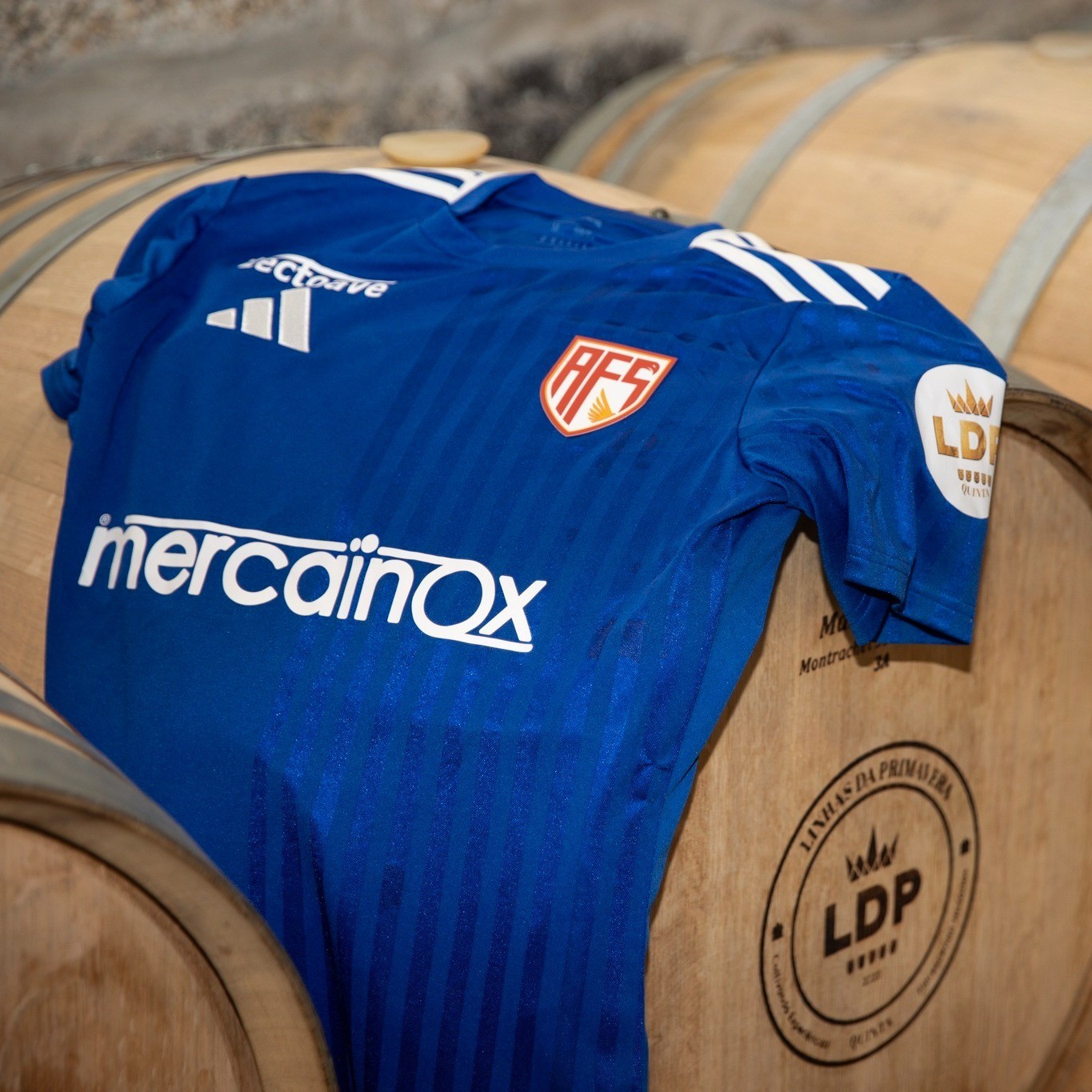 AVS Futebol SAD 2025-26 Third Kit