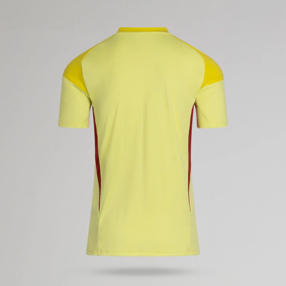 Celtic FC 2025-26 GK Home Kit