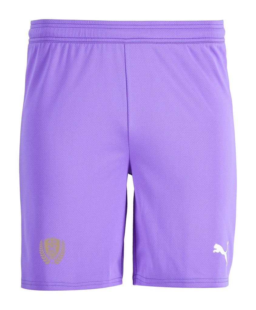 Rotherham United 2025-26 GK Away Kit