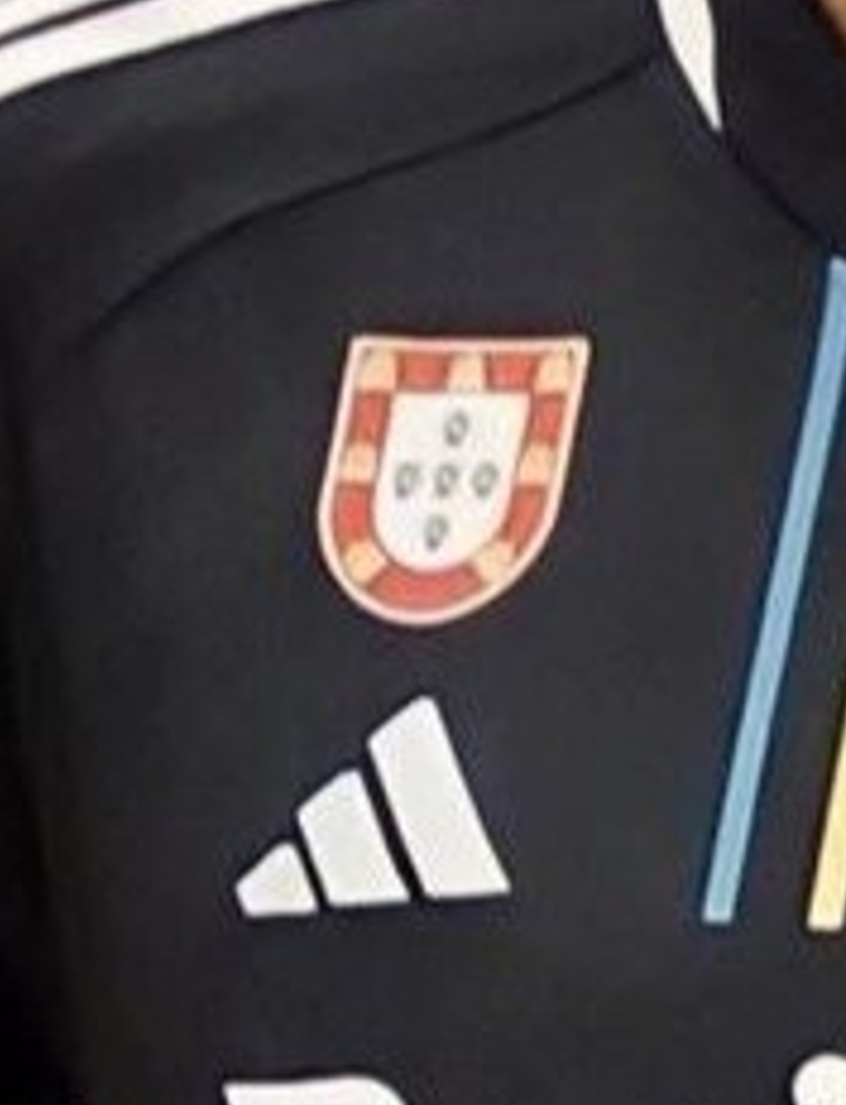 SL Benfica 2023-24 Cup Away Kit