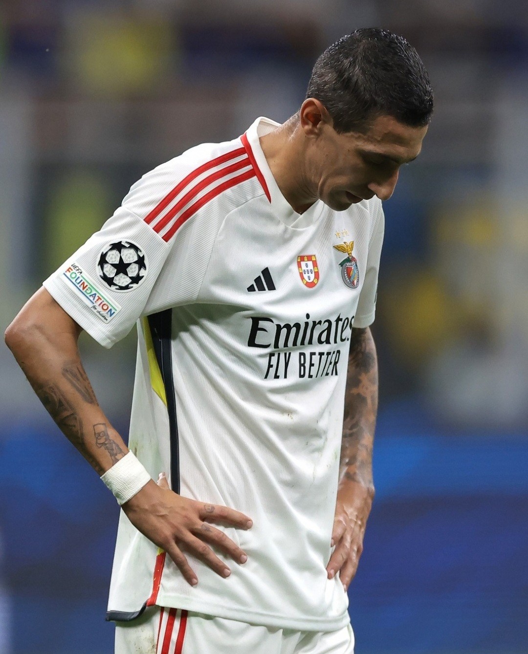 SL Benfica 2023-24 Cup Third Kit