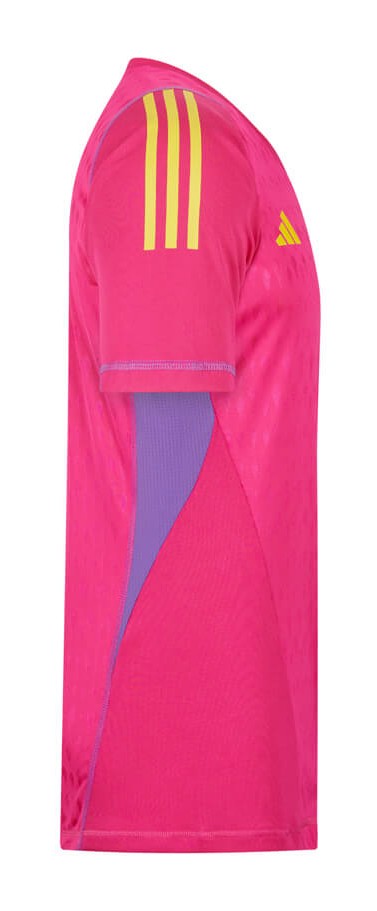 SL Benfica 2023-24 GK 3 Kit