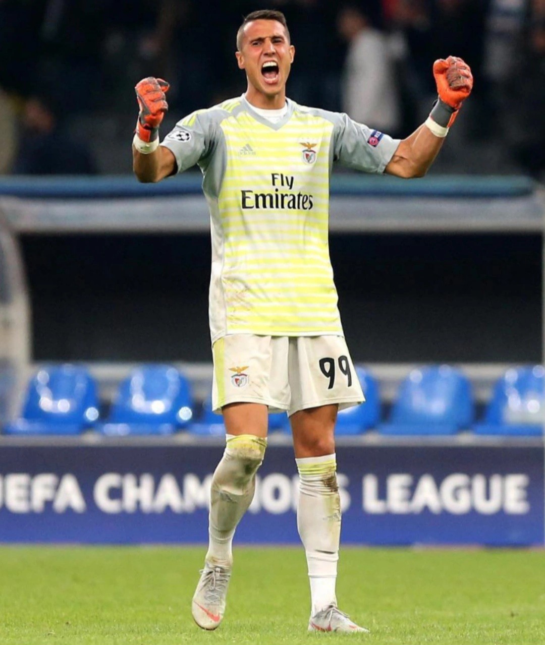 SL Benfica 2018-19 GK 2 Kit