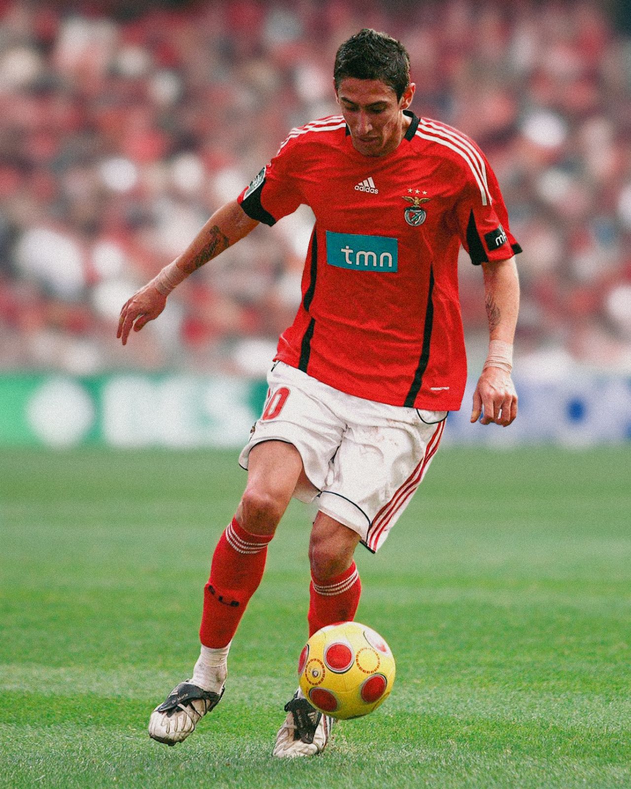 SL Benfica 2008-09 Home Kit