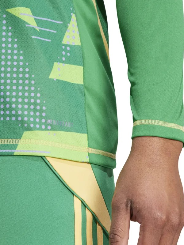 FC Annecy 2024-25 GK 3 Kit