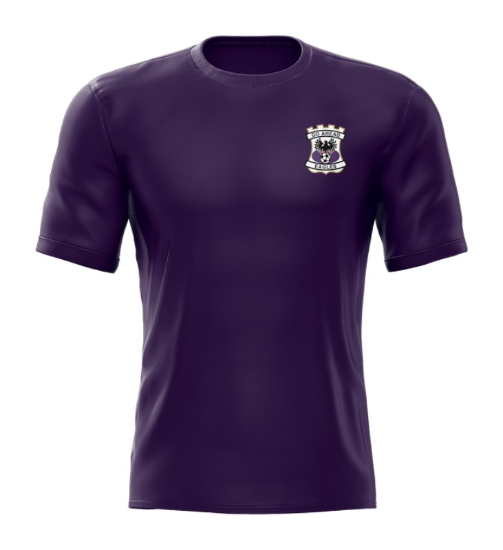 Go Ahead Eagles 1971-72 Home Kit