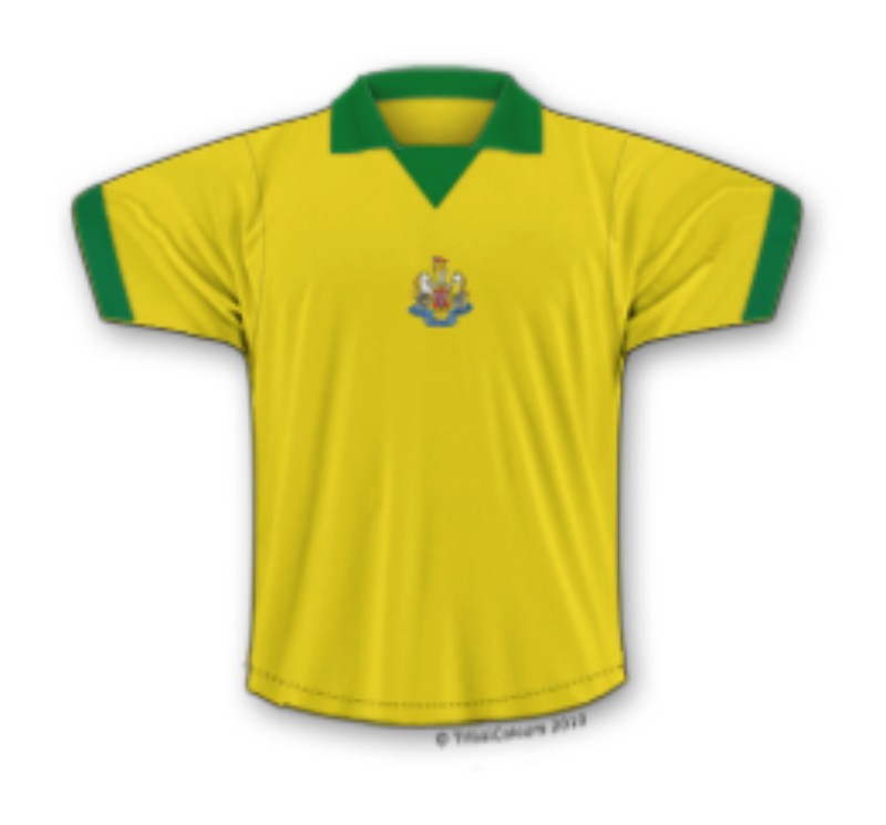 Newcastle United 1973-74 Fourth Kit