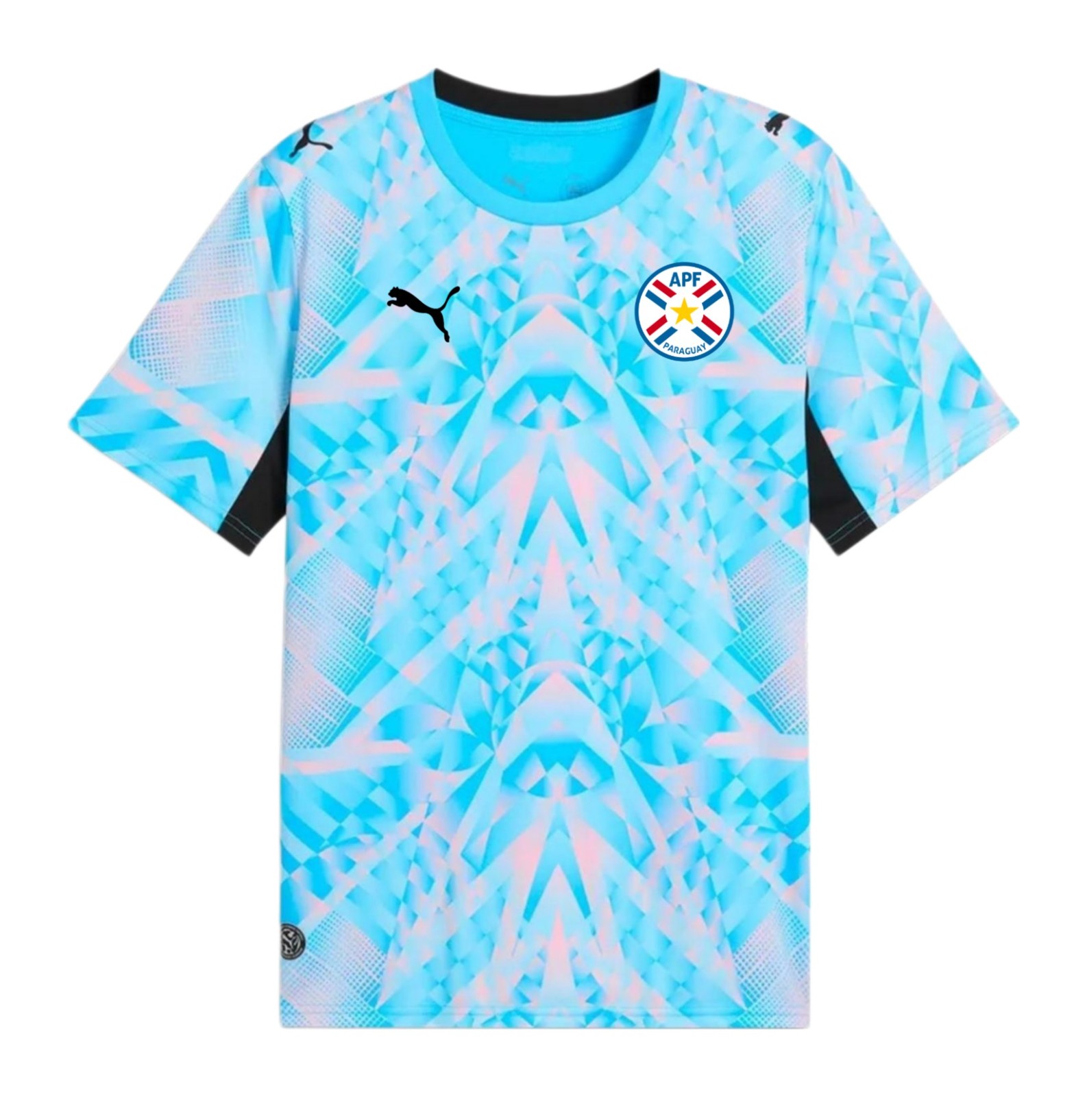 Paraguay 2026 GK 2 Kit