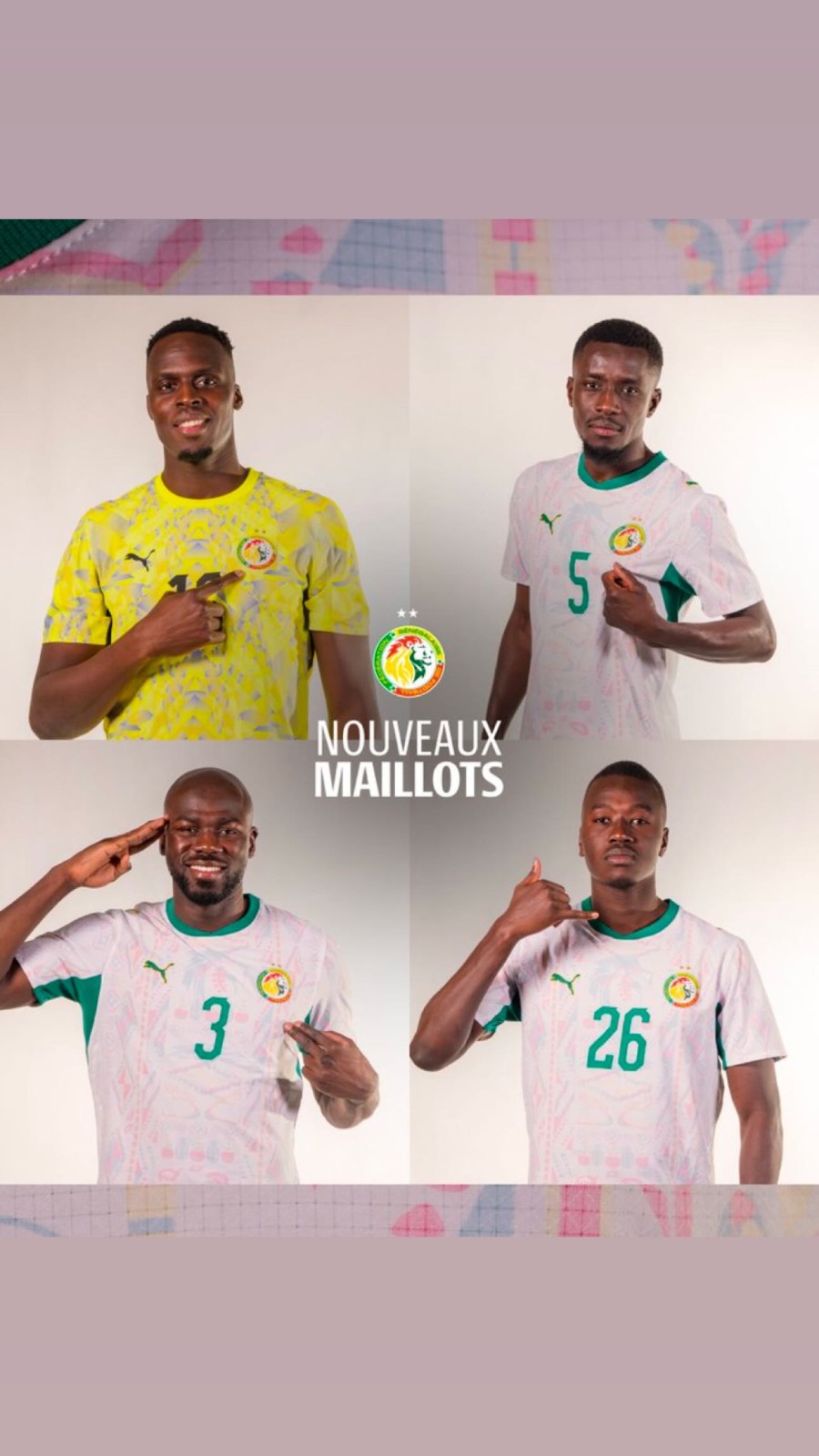 Senegal 2026 GK 1 Kit