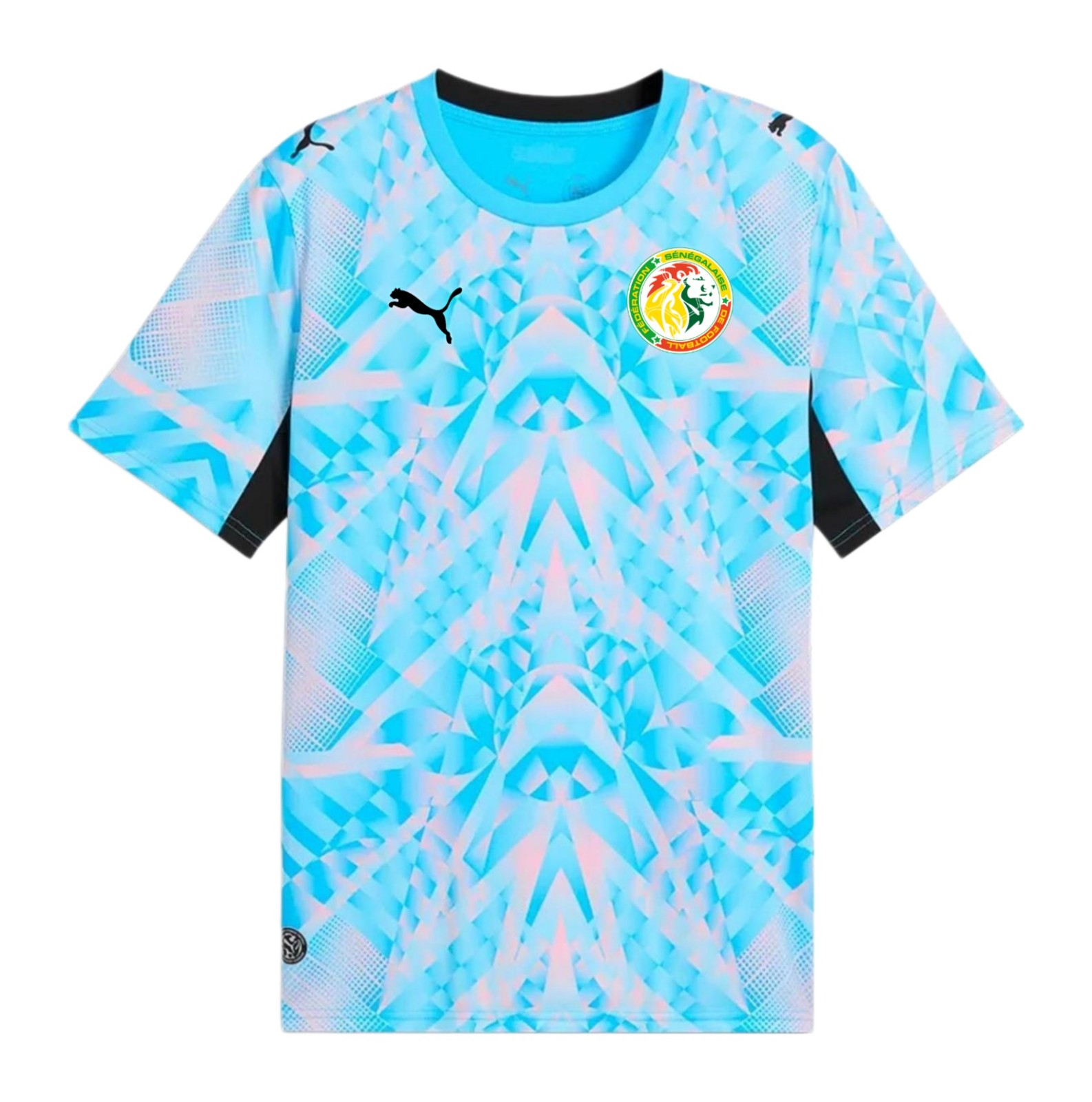 Senegal 2026 GK 2 Kit