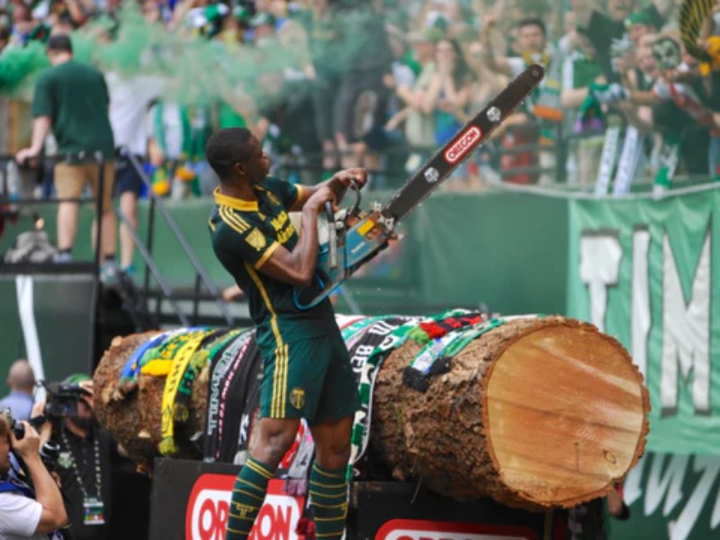 Portland Timbers 2014 Third Kit