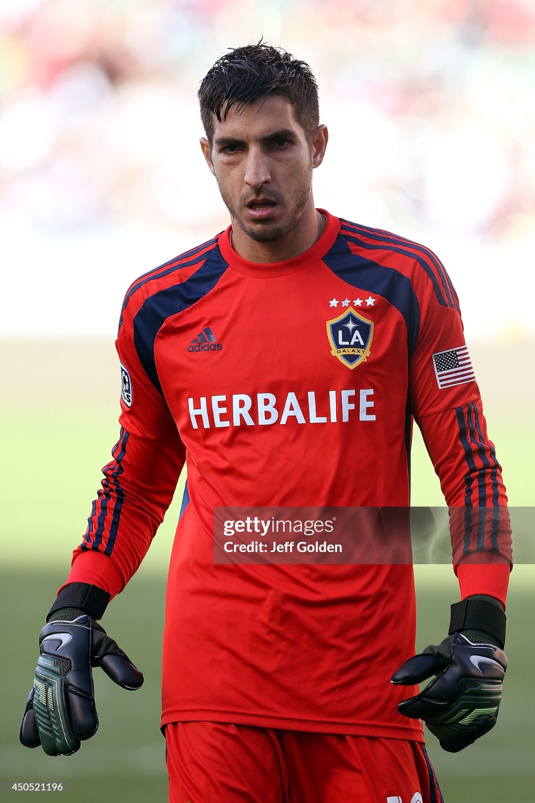 LA Galaxy 2014 GK 1 Kit
