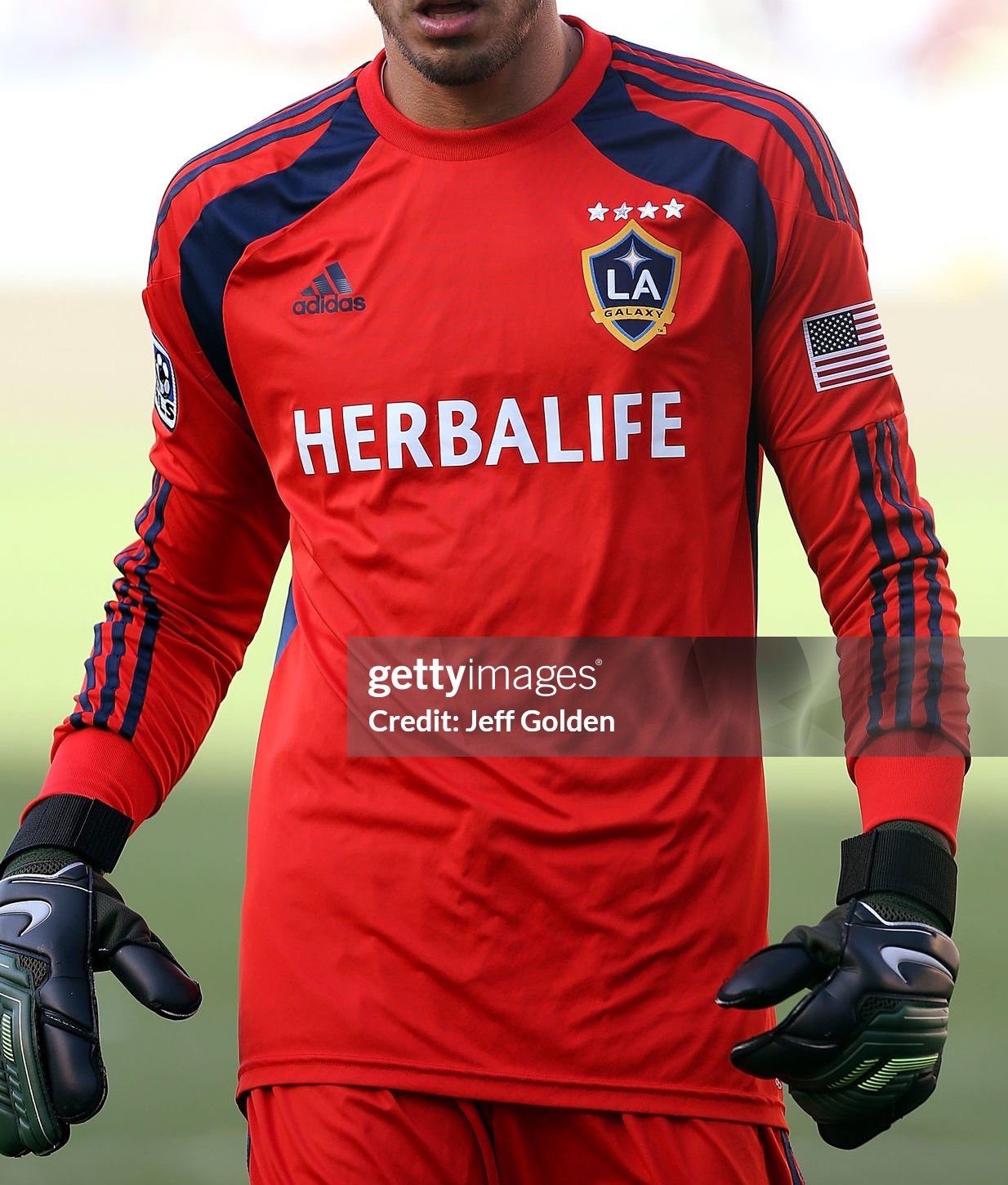 LA Galaxy 2014 GK 1 Kit