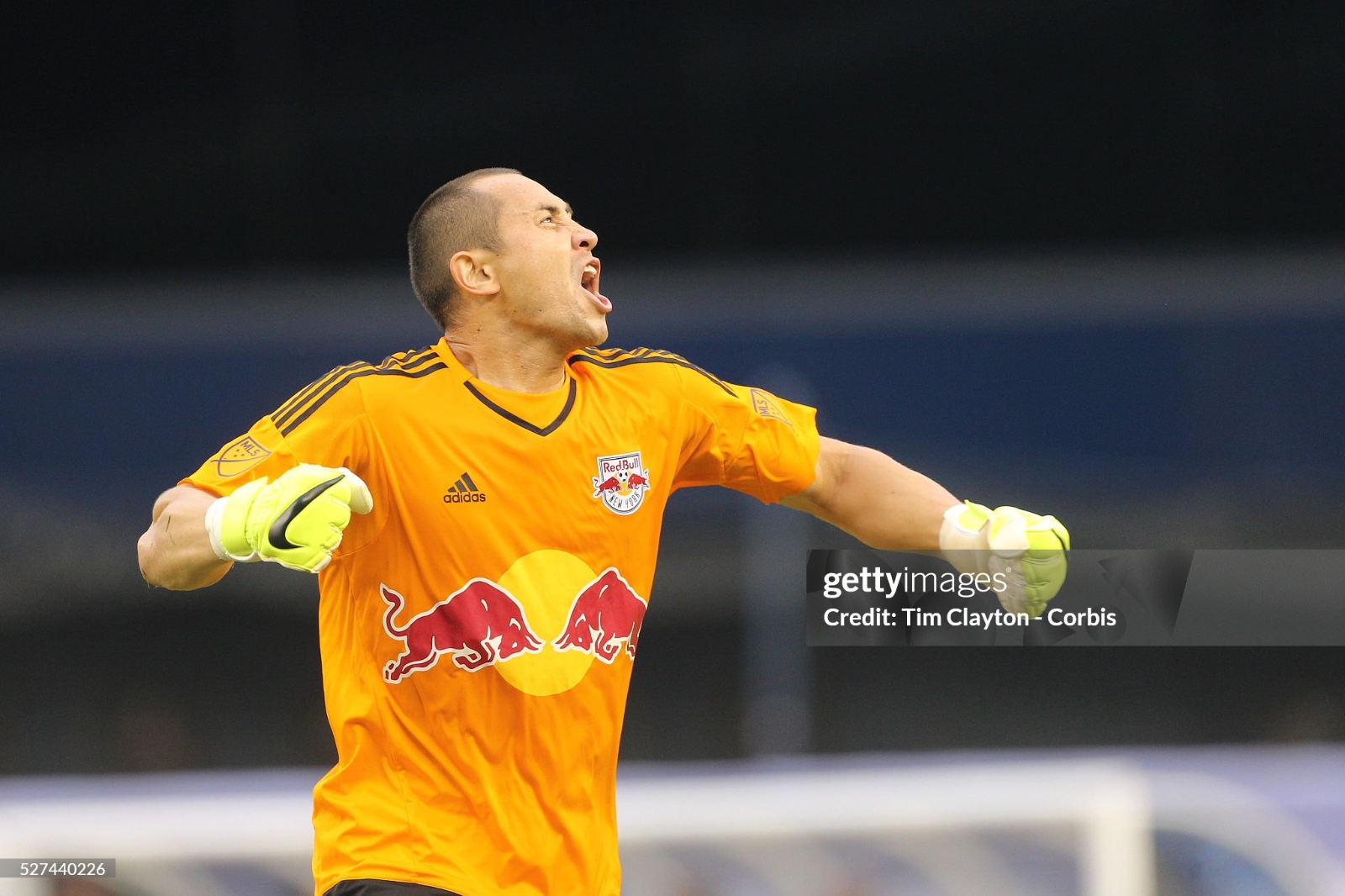 New York Red Bulls 2015 GK 1 Kit