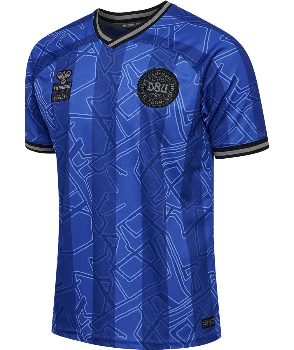Denmark 2024 GK Special Kit