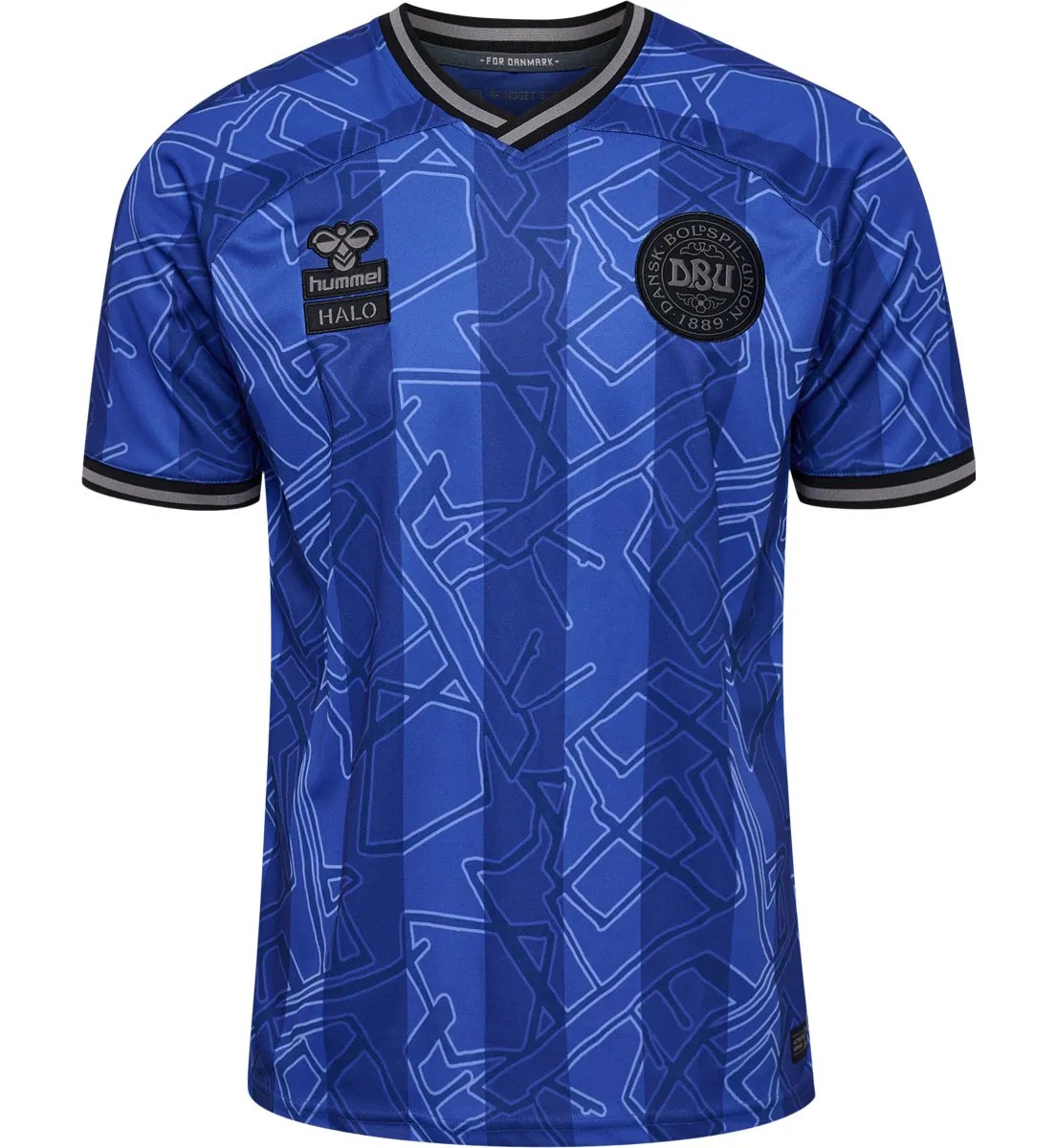 Denmark 2024 GK Special Kit